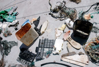 触目惊心:漂浮在太平洋中的塑料垃圾