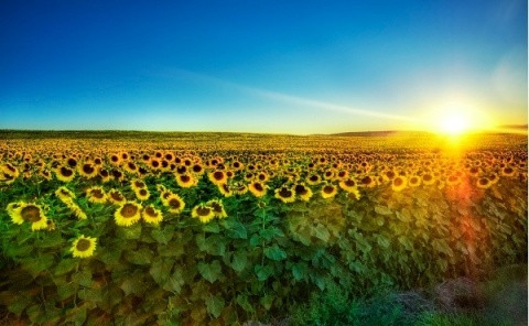【摄影】Trey Ratcliff HDR 旅游摄影精选 - 连战 - 连战