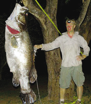 男子从鳄鱼口中夺回重约112公斤鲈鱼(图)