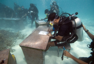 马尔代夫开海底内阁会议 总统潜水主持