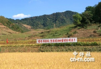 实拍朝鲜农村：不富足但一片欣欣向荣