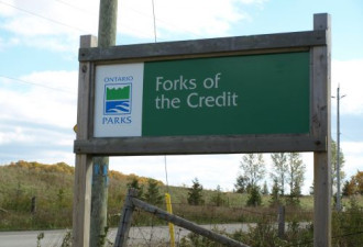 去FORKS OF THE CREDIT PARK 赏枫