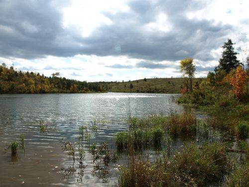 PA113755.JPG