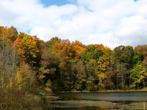 PA113760.JPG