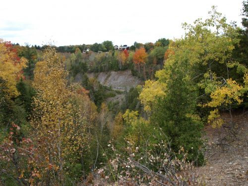 PA113807.JPG