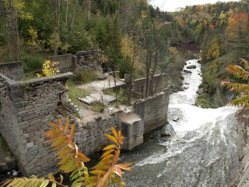 PA113835.JPG
