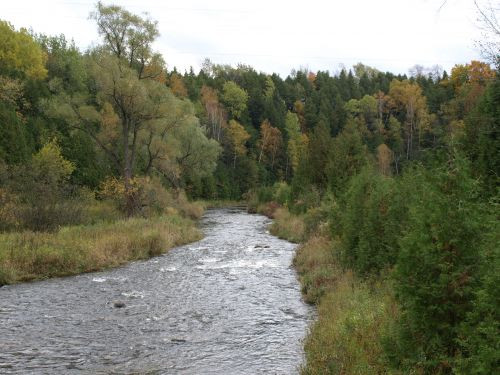 PA113858.JPG