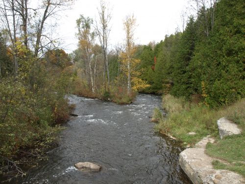 PA113861.JPG