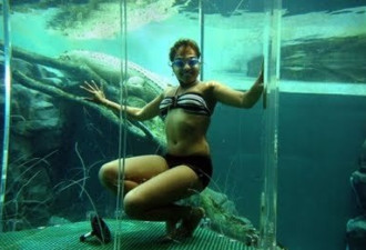 水族馆里的惊悚体验:让游客与鳄鱼共舞