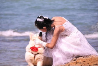 深圳海边美女和狗举行婚礼网友非议