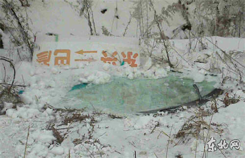 哈尔滨两车相撞造成8死7伤(组图)