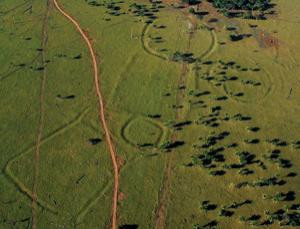 被发现的文明遗迹。考古学家近日在巴西和玻利维亚边境地区发现了大约260条大街、沟渠或围墙形状的遗迹。