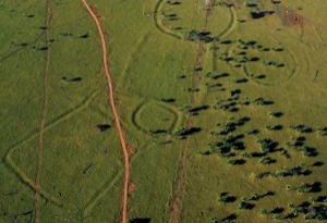 巴西考古学家发现古亚马逊文明遗迹