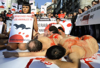 动物保护组织全裸披&quot;血&quot;抗议杀海豹