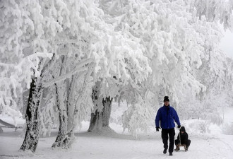 欧洲普降大雪气温骤降至少19人被冻死