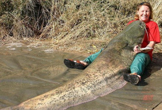 英国盲女钓到约200斤重世界最大鲶鱼