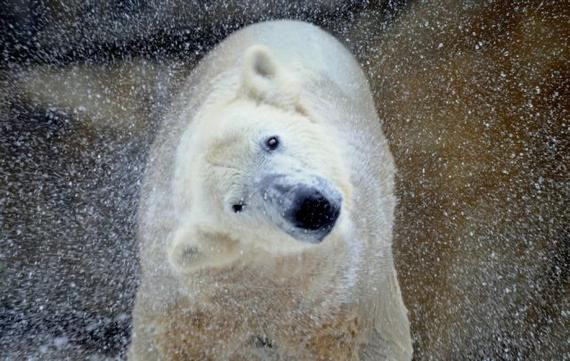 global warming07