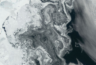 美丽的地球水资源:从太空看地球冰川