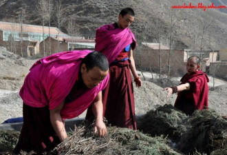 文化风情:亲历藏族新年煨桑祈福仪式