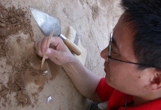 沈辰：安省皇家博物馆的华裔考古学家