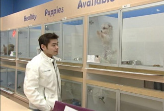 新时代电视：华人驯犬师的连锁宠物店