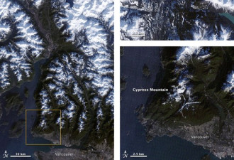 卫星拍到温哥华冬奥会赛场详细分布图