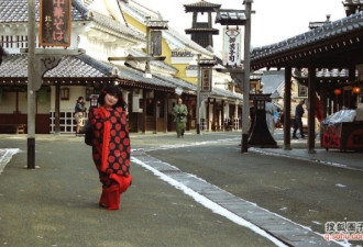 绝美的风景图片:难忘日本北海道之冬