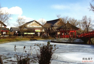 绝美的风景图片:难忘日本北海道之冬