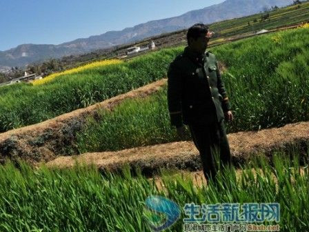 男子为治癫痫病掐死11岁男孩吃其脑髓(图)