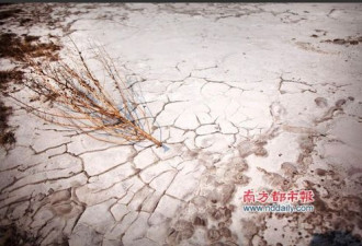云南兴隆村 干旱和污染带来的慢性死亡