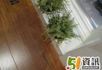 满足加国“蜗居”的惬意和“豪居”的梦幻
