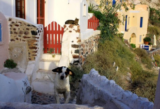 童话般：蓝色宁静的爱琴海和希腊小镇