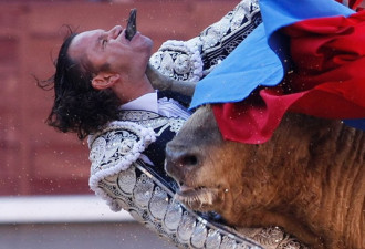 西班牙著名斗牛士被公牛刺穿咽喉生还