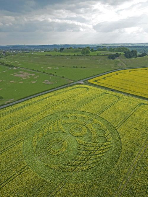 Crop Circles(57 pics)