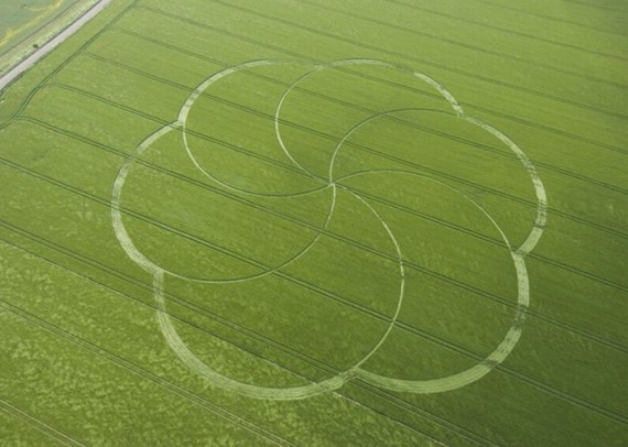 Crop Circles(57 pics)