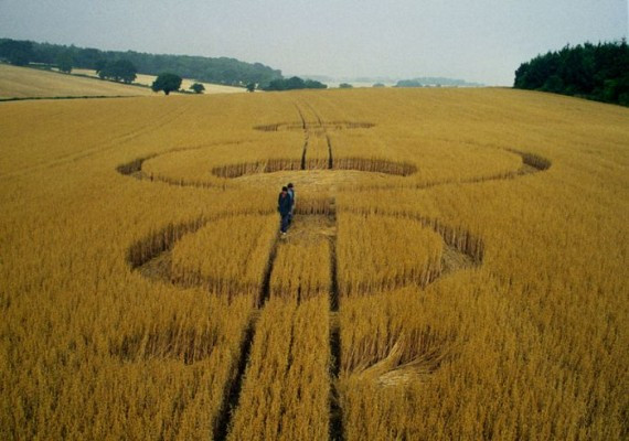 Crop Circles(57 pics)