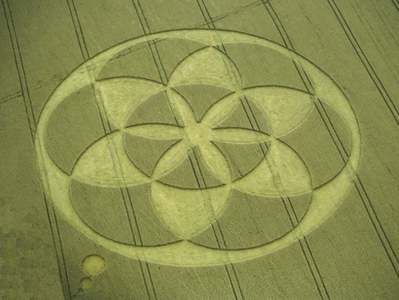 Crop Circles(57 pics)