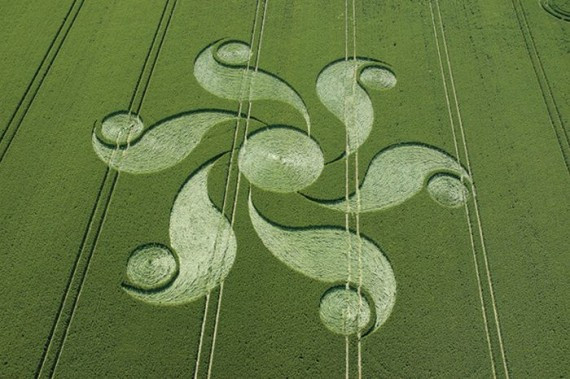 Crop Circles(57 pics)