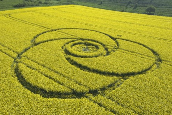 Crop Circles(57 pics)