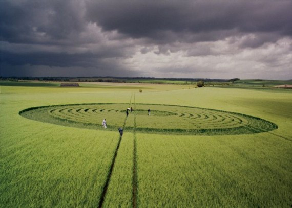 Crop Circles(57 pics)