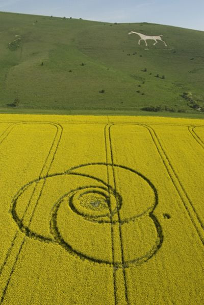 Crop Circles(57 pics)