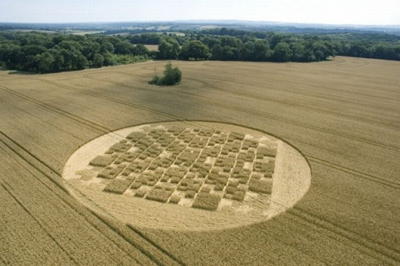 Crop Circles(57 pics)