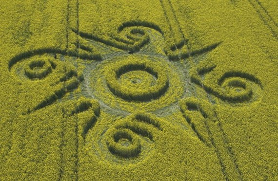 Crop Circles(57 pics)