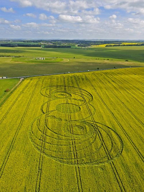 Crop Circles(57 pics)