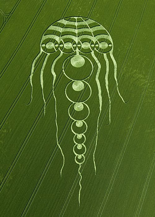 Crop Circles(57 pics)