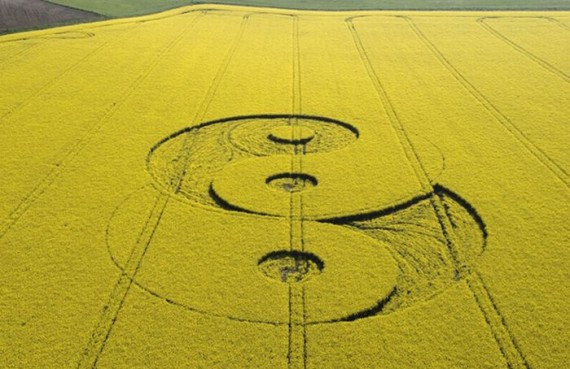 Crop Circles(57 pics)