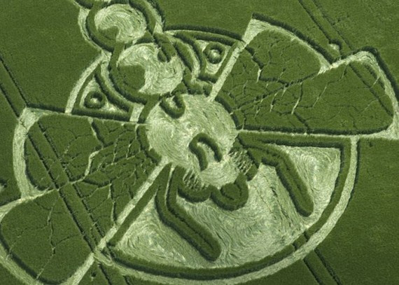 Crop Circles(57 pics)