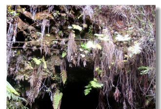 鬼斧神工：探秘夏威夷岛上的熔岩隧道