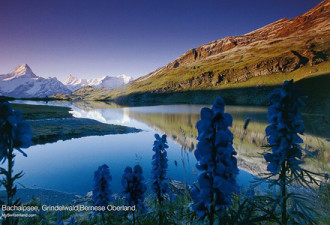 旅游图片集：瑞士宛如仙境的湖光山色