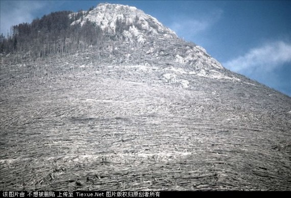 回复：末日浩劫现实版：1980美国圣海伦斯火山爆